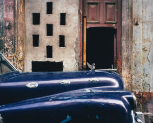 Balllot jc-la Havane le cygne